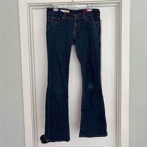 Vintage Express X2  Flare Jeans Size 6 Long
